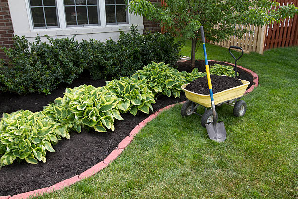 5 Fall Landscaping Mistakes To Avoid
