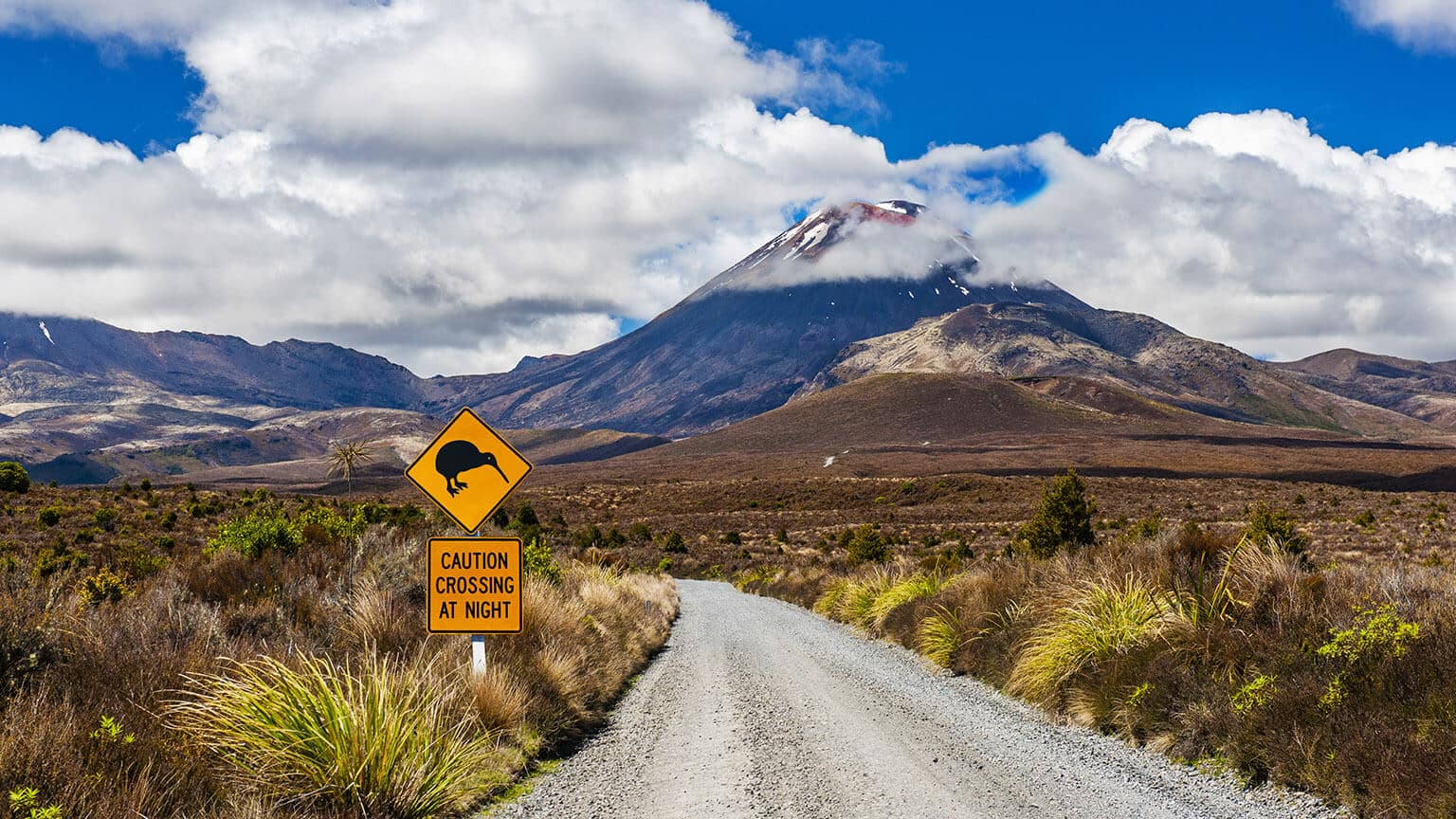 Unlocking New Zealand: A Guide for Slovak and Slovenian Citizens