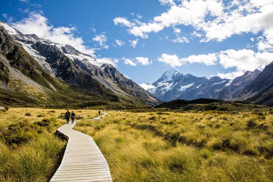 Navigating the New Zealand Visa Process for Argentine and Brazilian Citizens