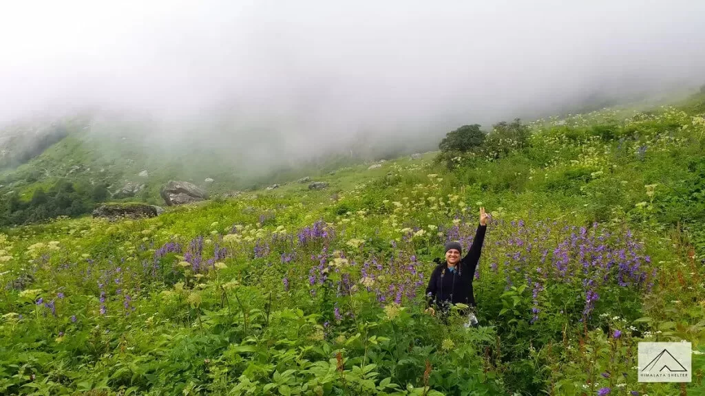 Exploring the Majesty of Monsoon Treks in India